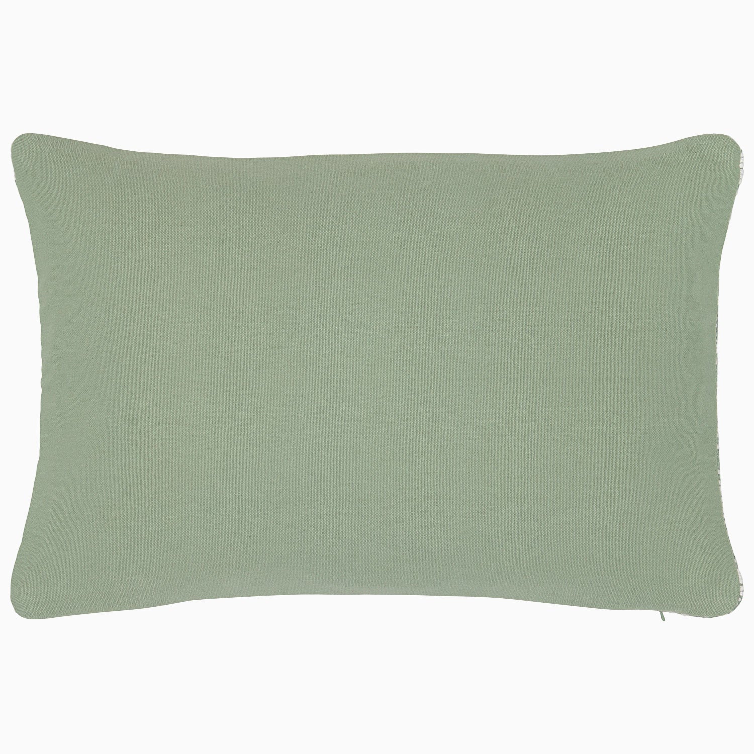 Vedika Sage Kidney Pillow
